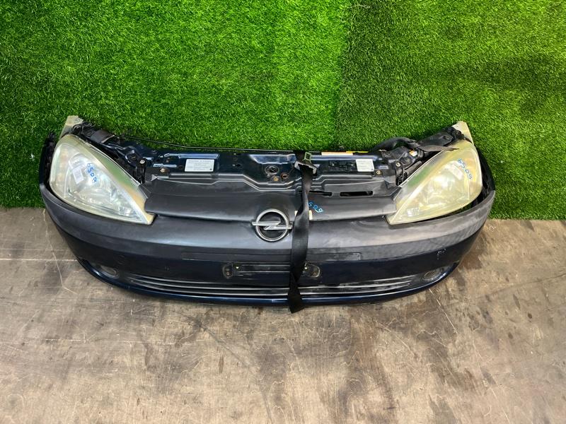 Ноускат — фото 6