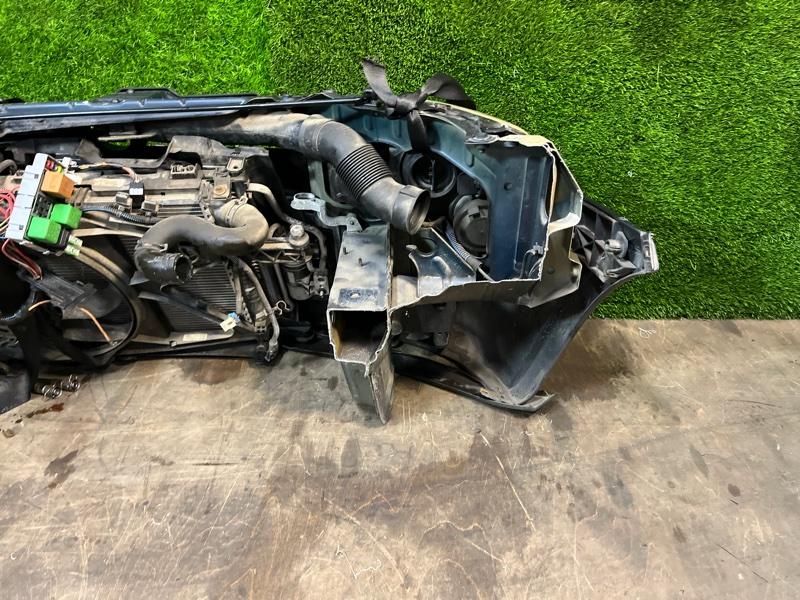 Ноускат — фото 9