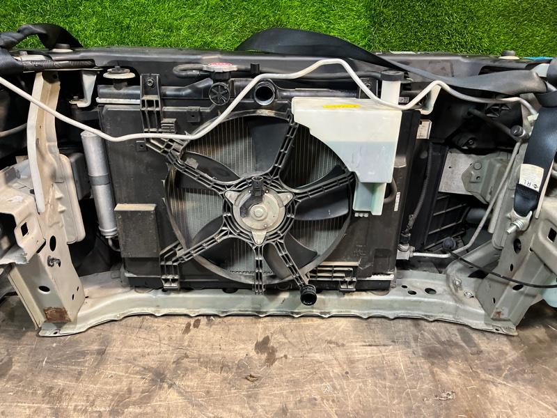 Ноускат — фото 12