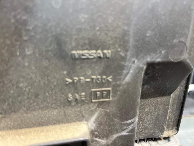 Ноускат — фото 2