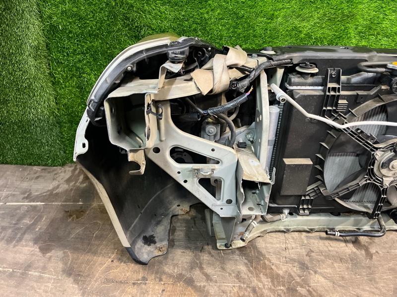 Ноускат — фото 13