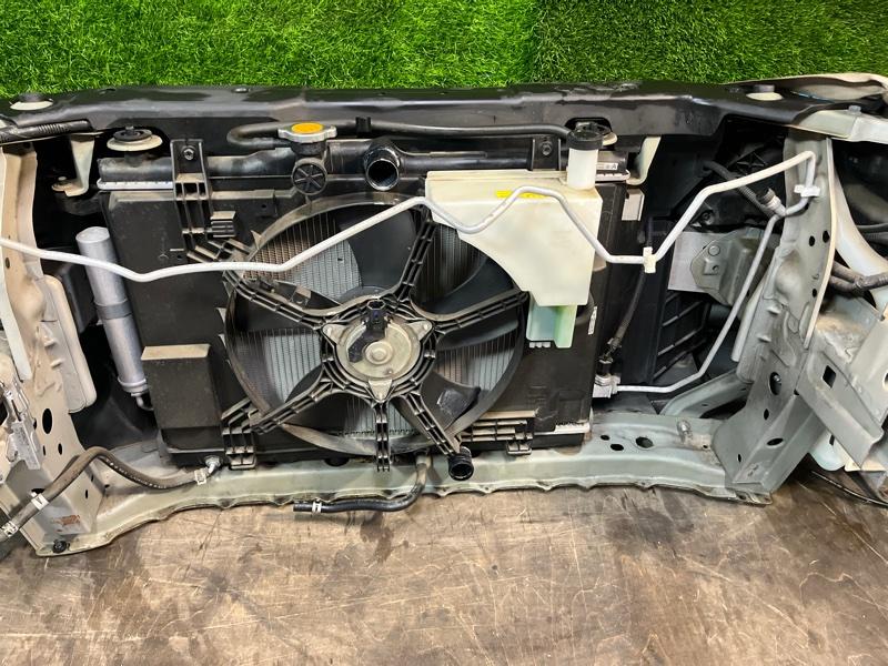 Ноускат — фото 14