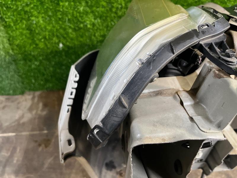 Ноускат — фото 15