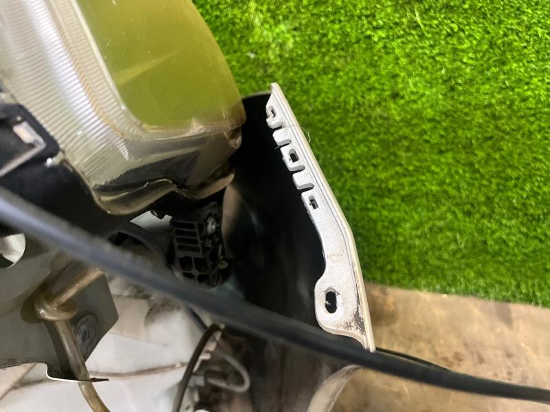 Ноускат — фото 16