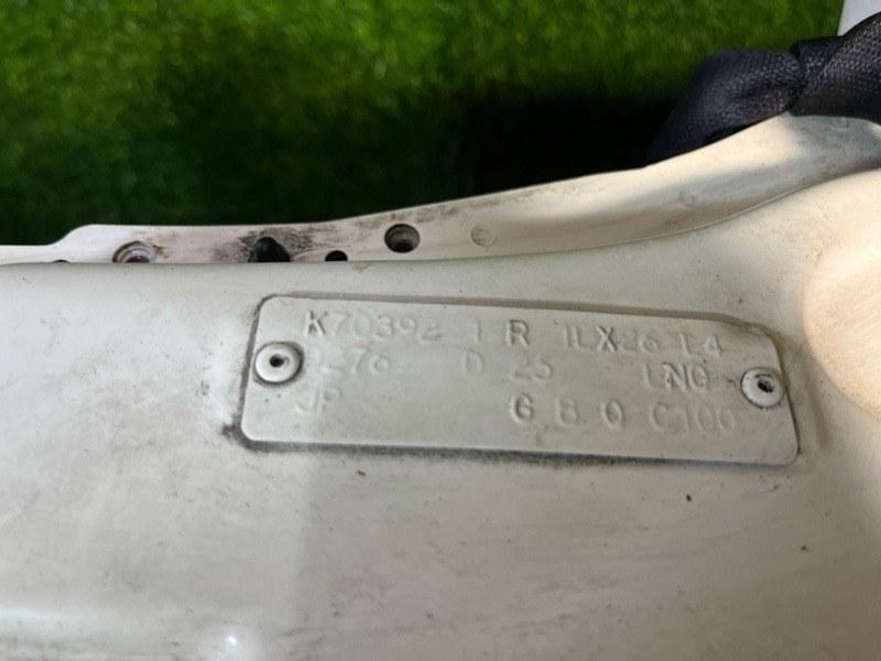 Ноускат — фото 2