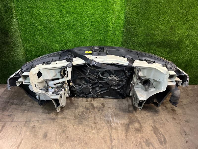 Ноускат — фото 10