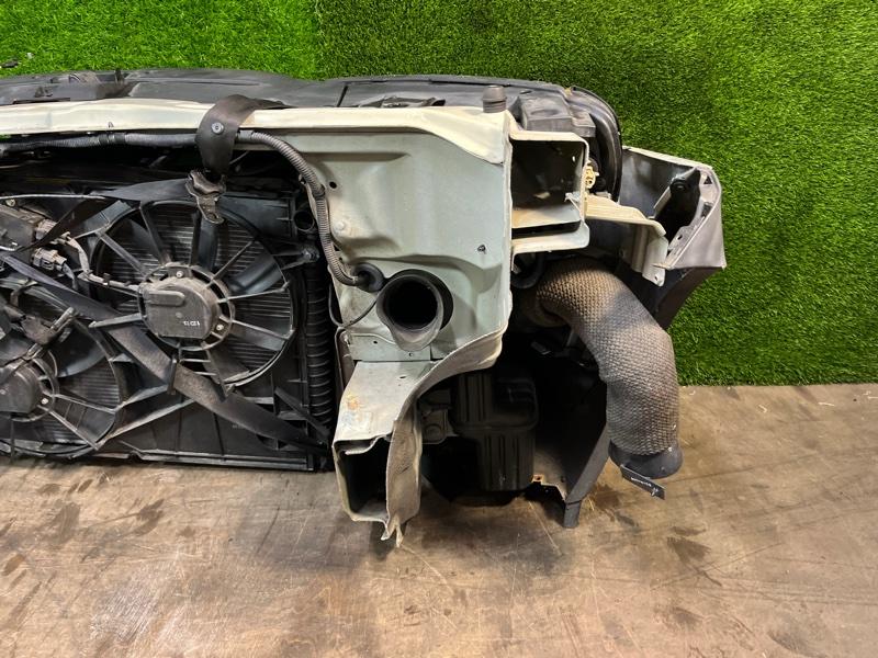 Ноускат — фото 11