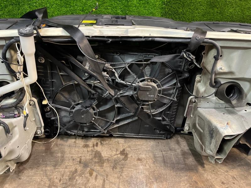 Ноускат — фото 12