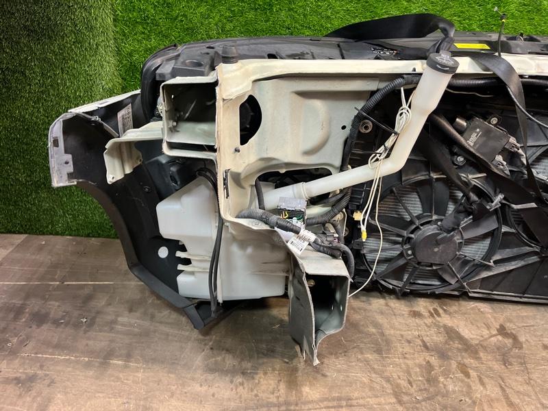 Ноускат — фото 13