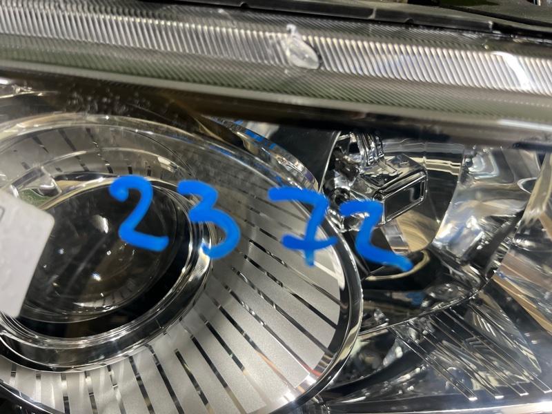 Ноускат — фото 14