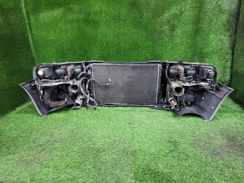 Ноускат — фото 6