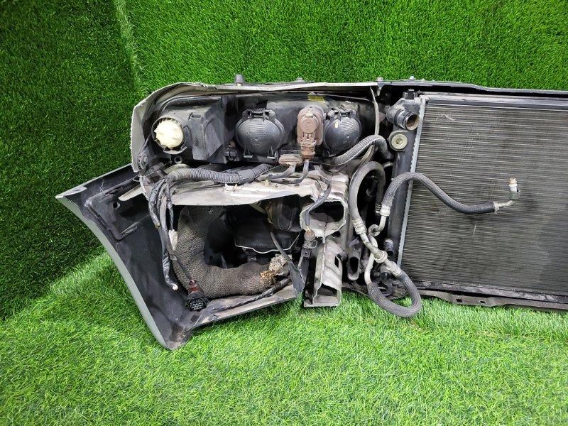 Ноускат — фото 7