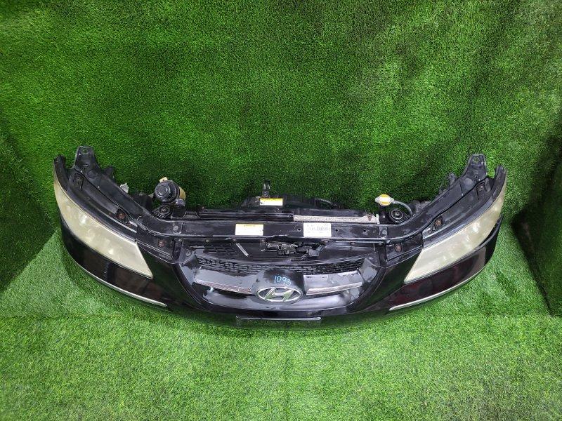 Ноускат — фото 2