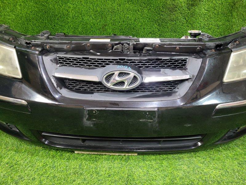 Ноускат — фото 7