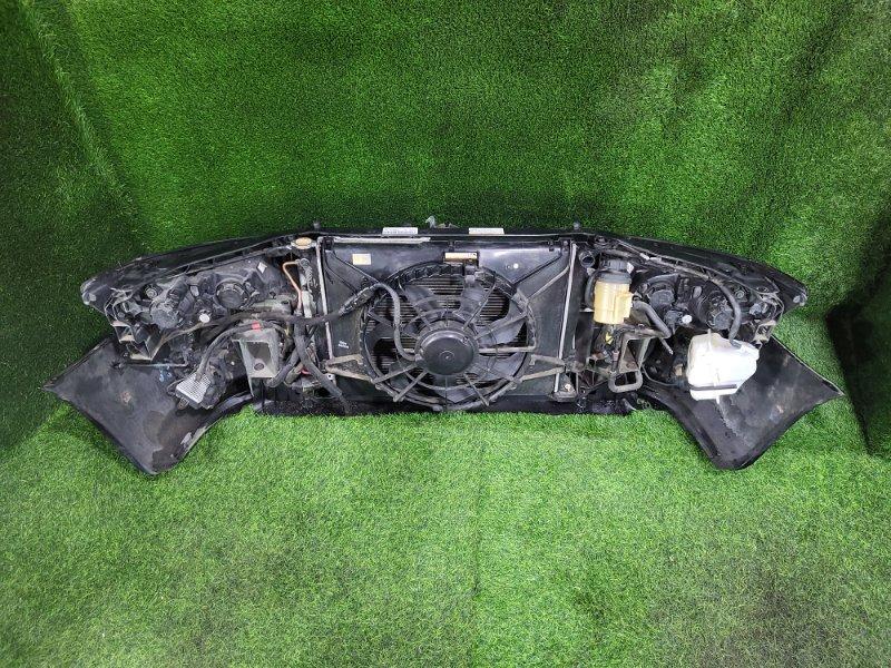 Ноускат — фото 9