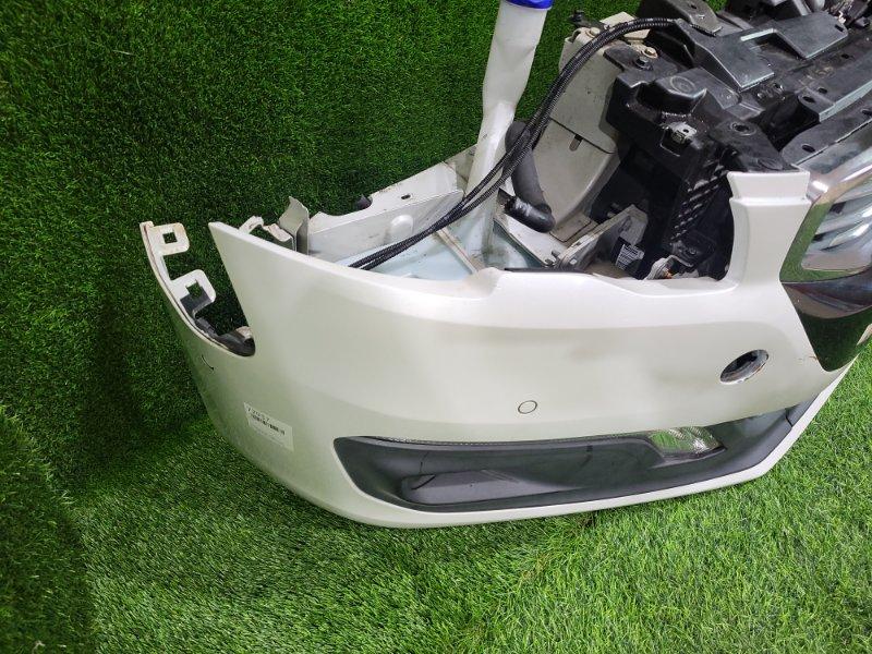 Ноускат — фото 4