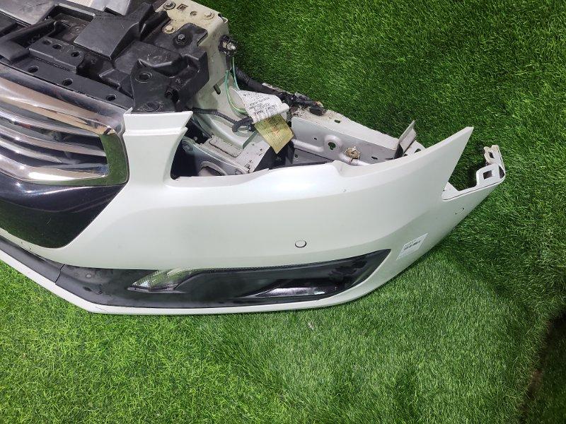 Ноускат — фото 6