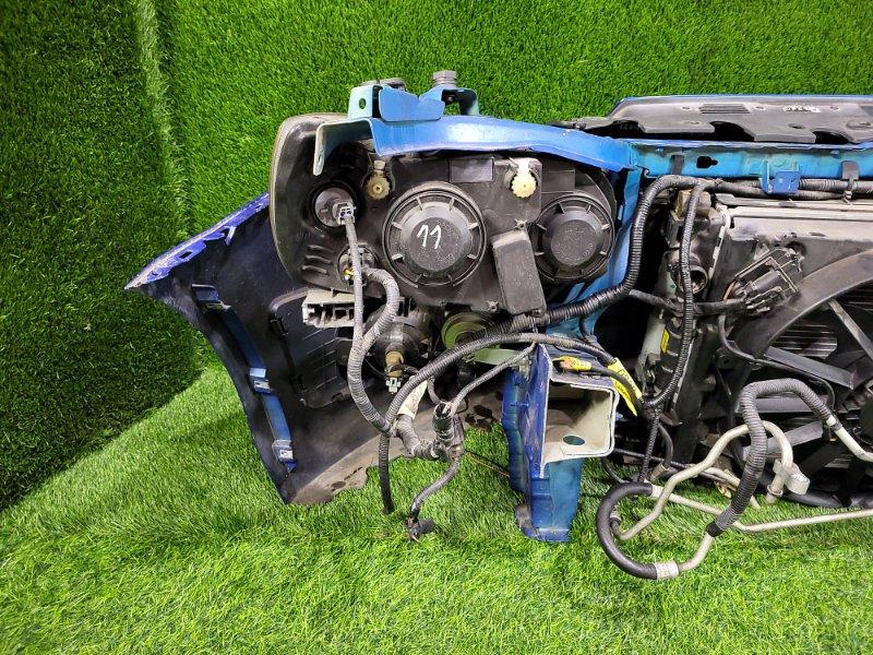 Ноускат — фото 10