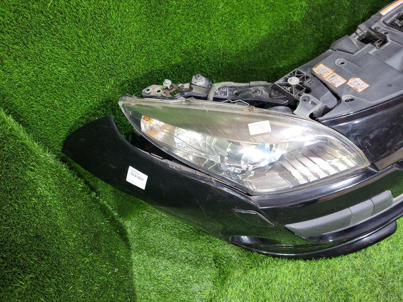 Ноускат — фото 4