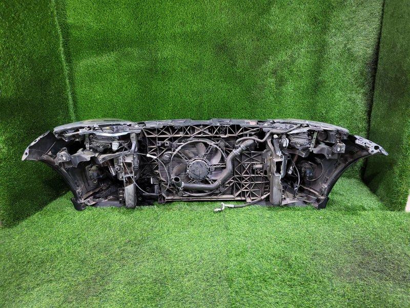 Ноускат — фото 8