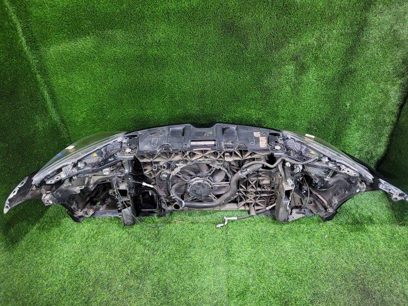 Ноускат — фото 9