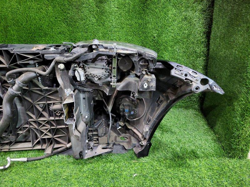 Ноускат — фото 11