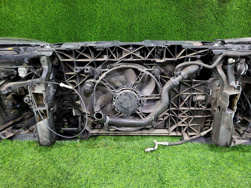 Ноускат — фото 12