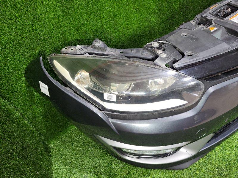 Ноускат — фото 4