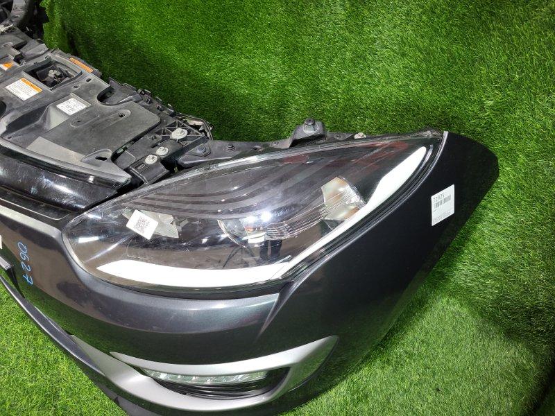 Ноускат — фото 6