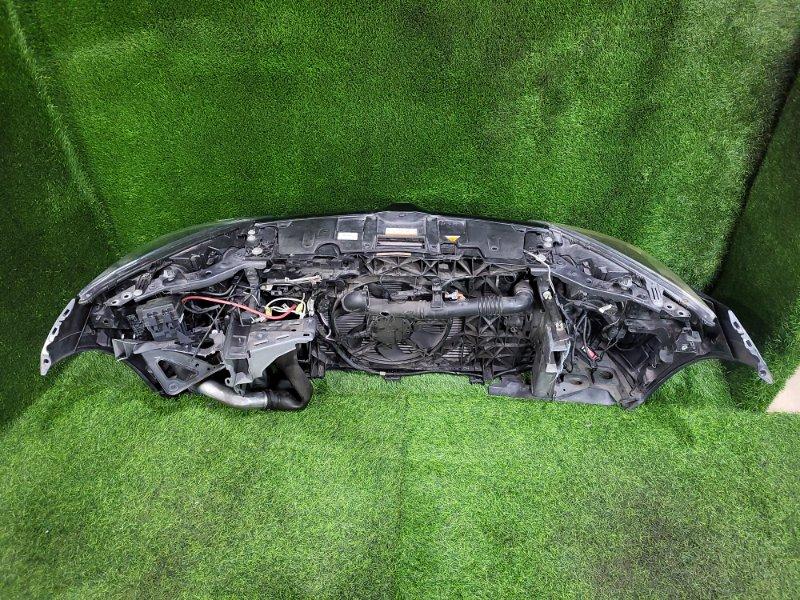 Ноускат — фото 9