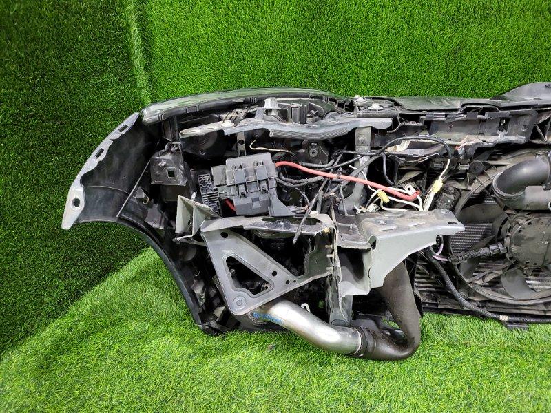 Ноускат — фото 10