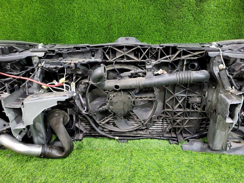 Ноускат — фото 12