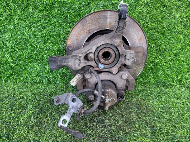 Кулак поворотный