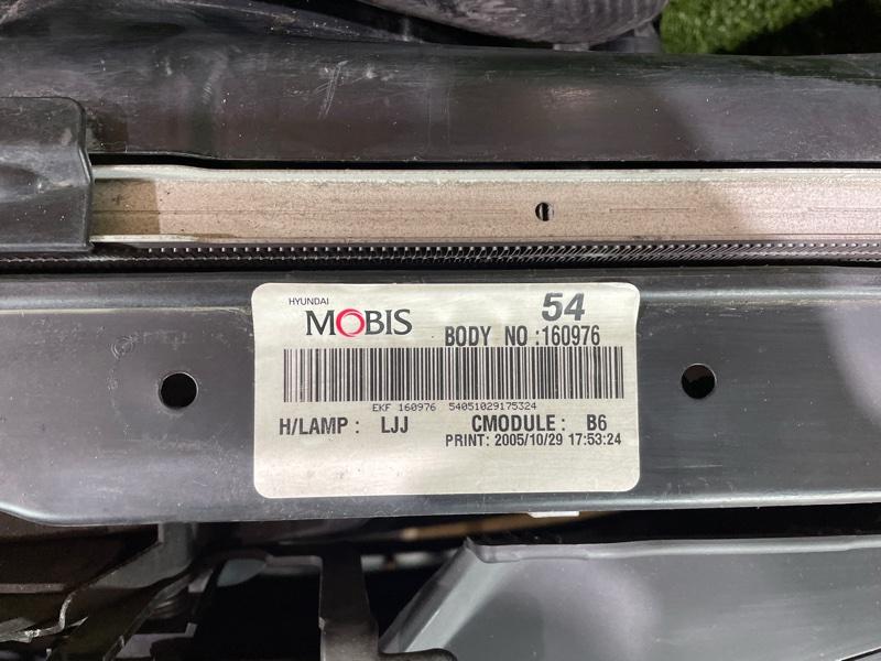 Ноускат — фото 8