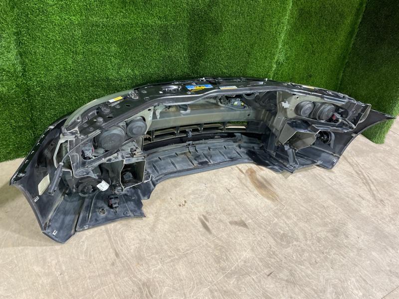 Ноускат — фото 10