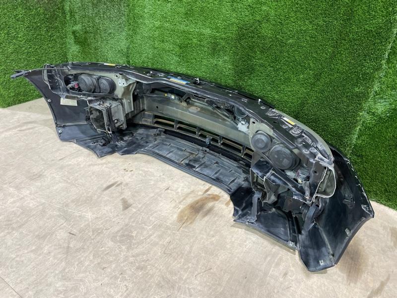 Ноускат — фото 11