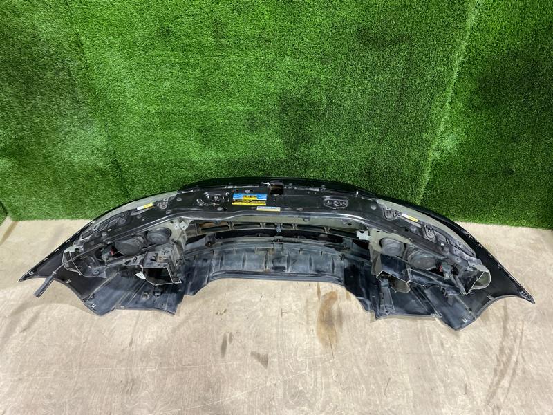 Ноускат — фото 12