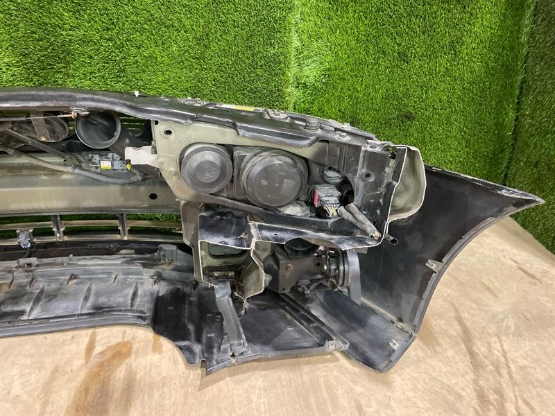 Ноускат — фото 13