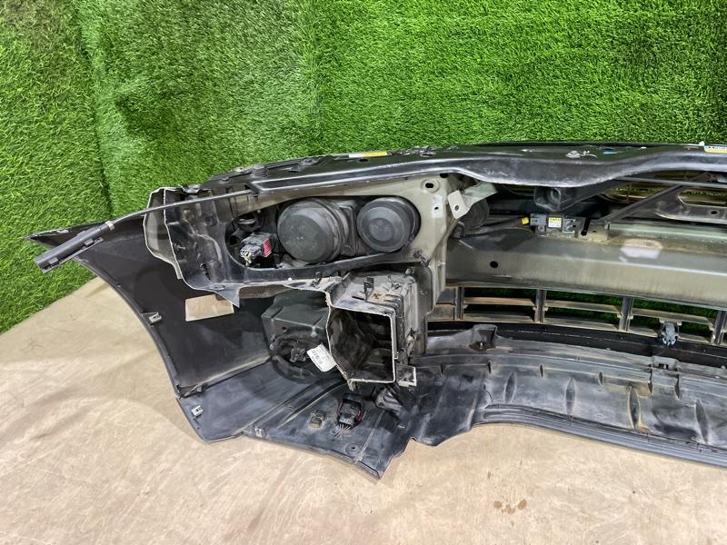 Ноускат — фото 15