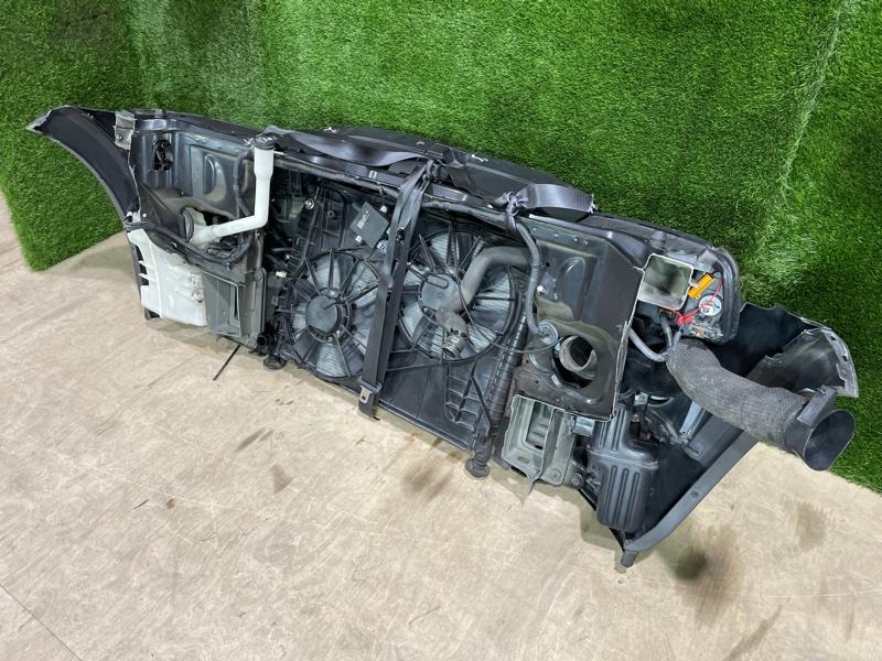 Ноускат — фото 11