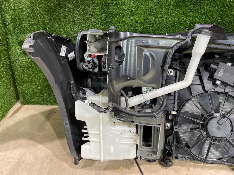 Ноускат — фото 14