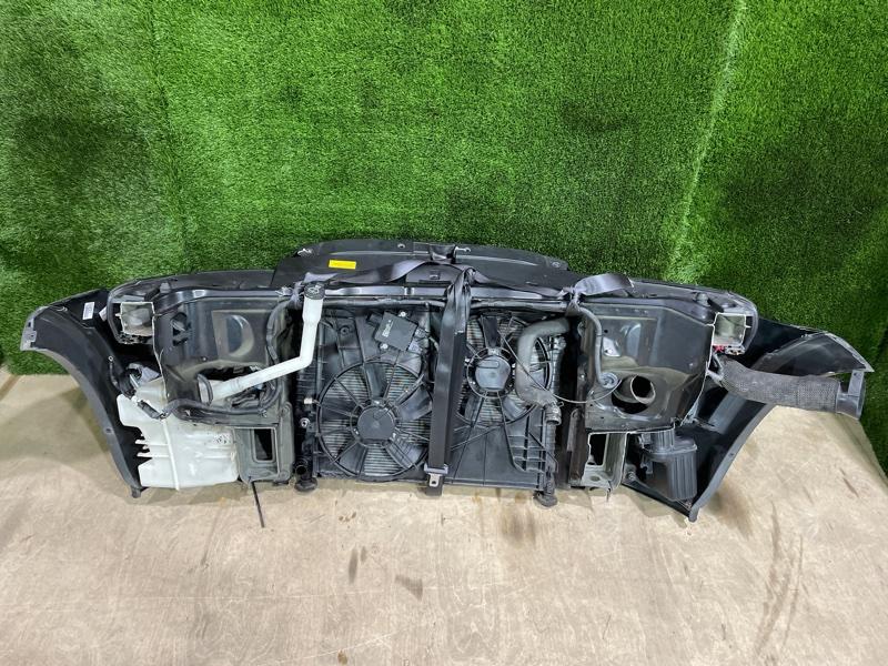 Ноускат — фото 15