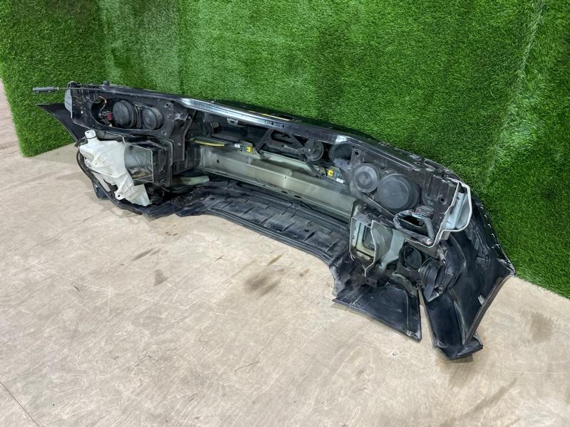 Ноускат — фото 11