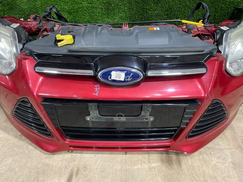 Ноускат — фото 6