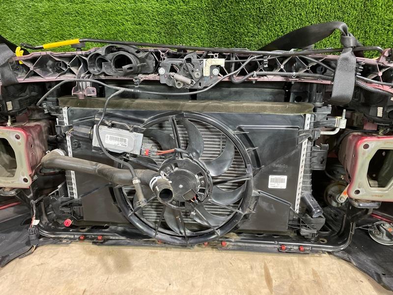 Ноускат — фото 13