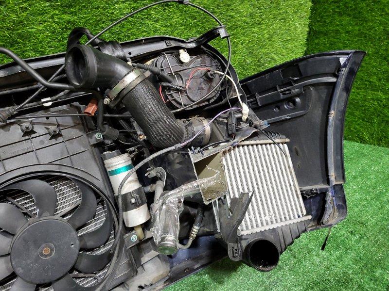 Ноускат — фото 13