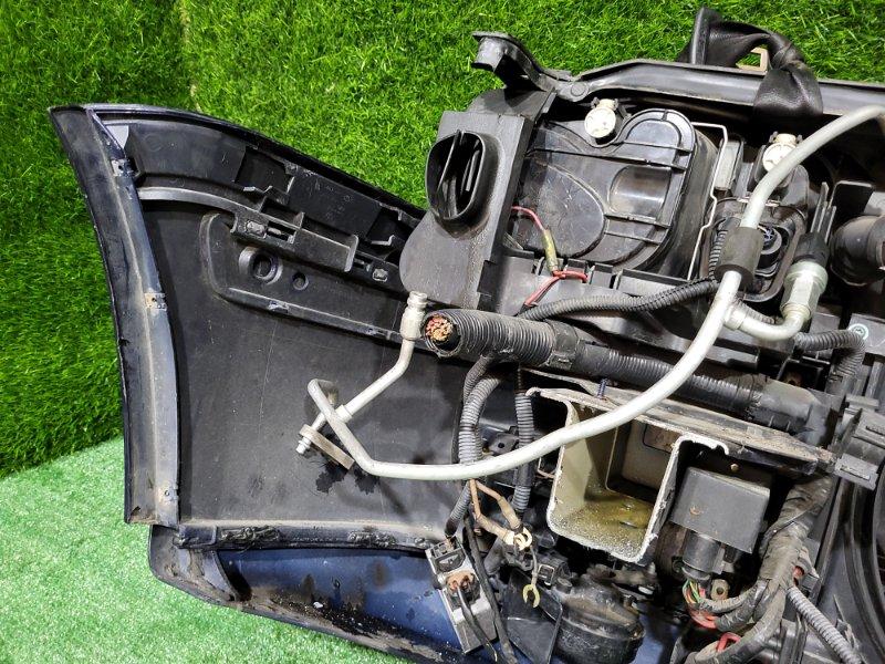 Ноускат — фото 14