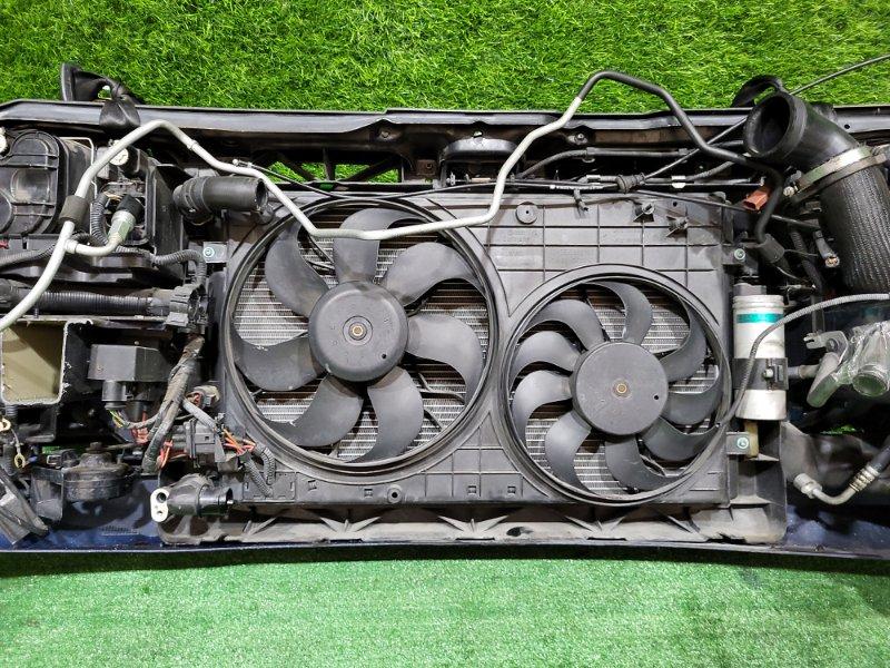 Ноускат — фото 15