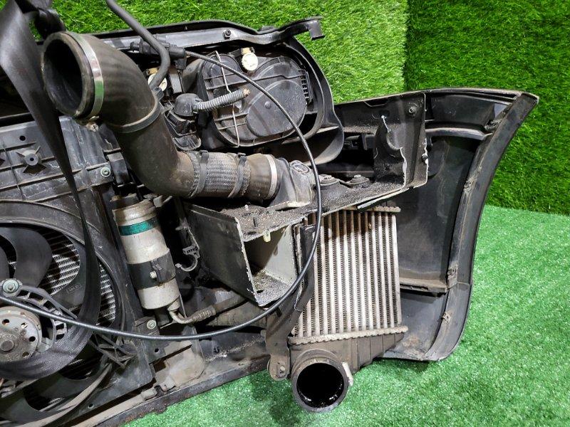 Ноускат — фото 13