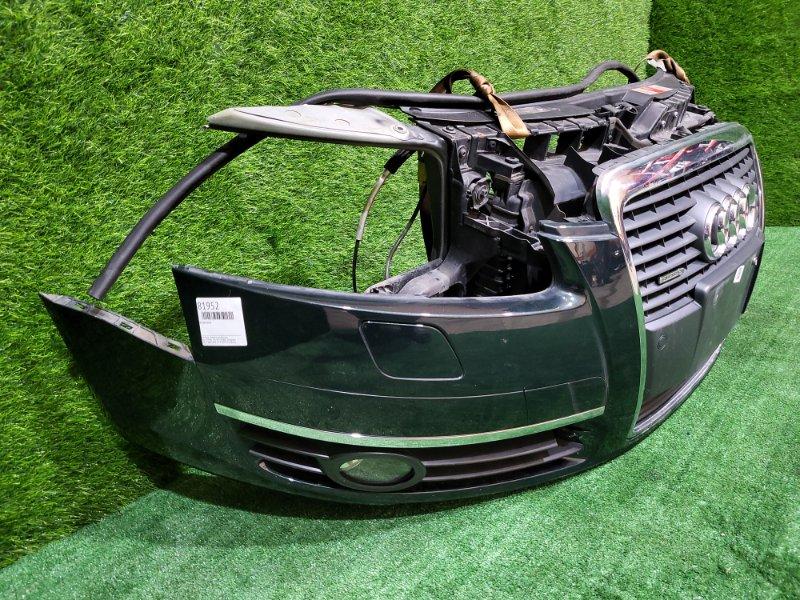 Ноускат — фото 3